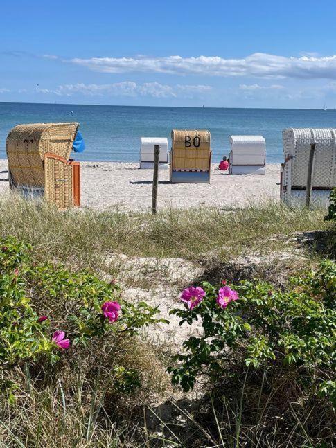 FeWo mit Terasse u. Garten am Golfplatz Wulfen auf Fehmarn Exterior foto